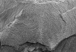Сланец RKS SLATE Black Mushroom 400x200 мм